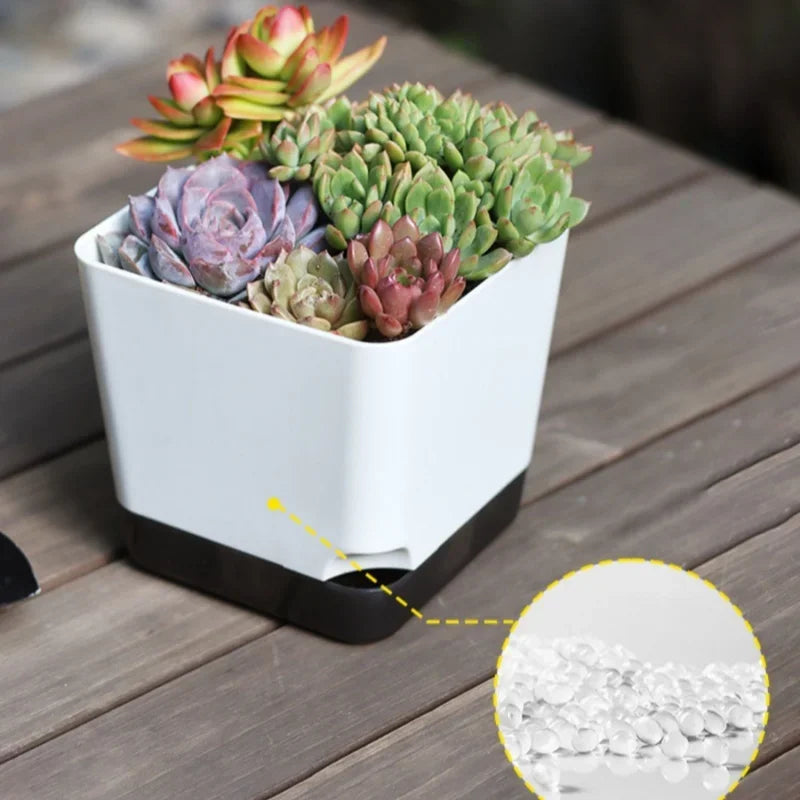 5-Pack Self-Watering Planters with Drainage & Reservoir Self-Watering Planter QXL