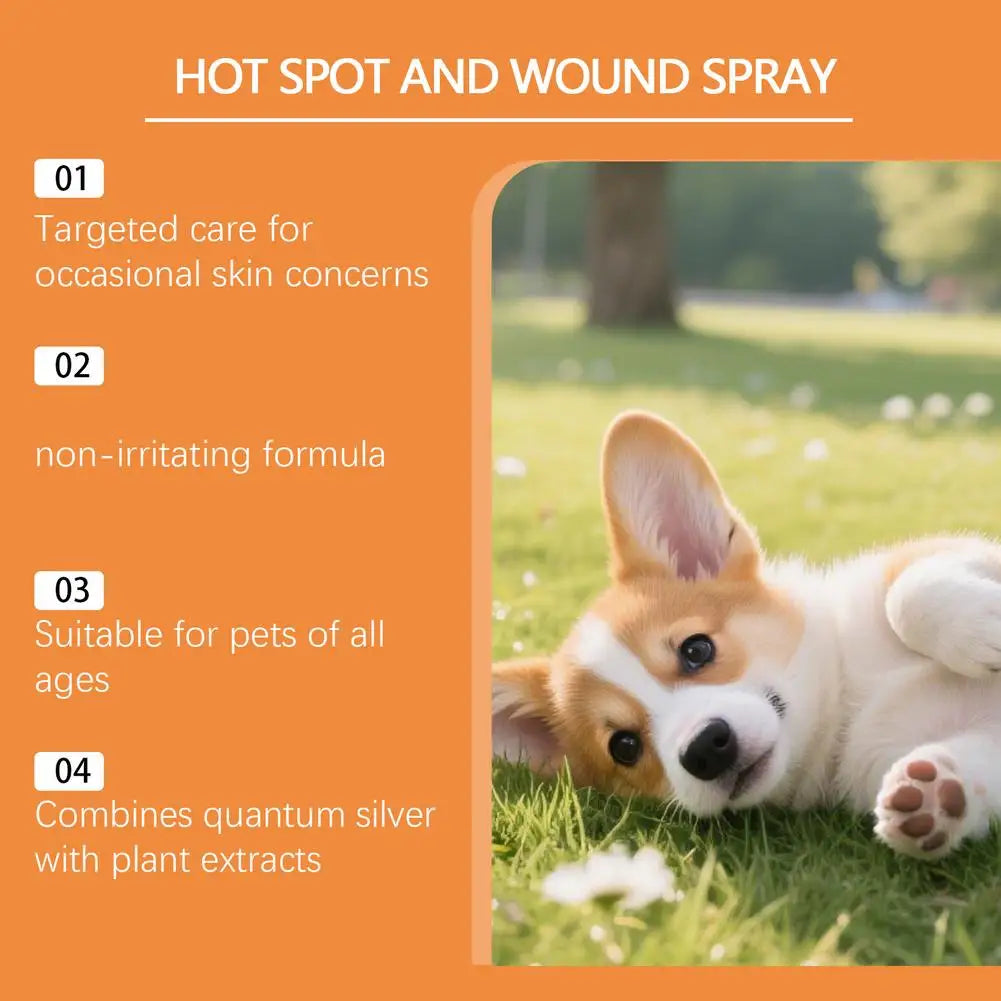 Pet Skin Care Spray for Dogs & Cats | Botanical Formula 100ml Pet Skin Spray QXL