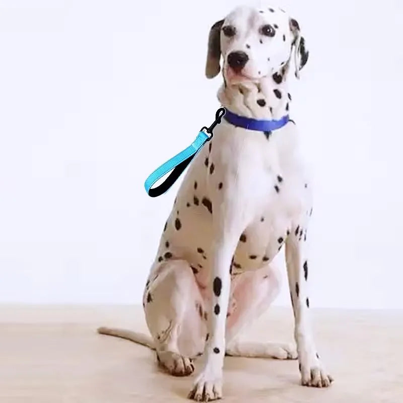 25cm Reflective Short Dog Leash | Padded Handle, Medium & Large Dogs Short Dog Leash QXL