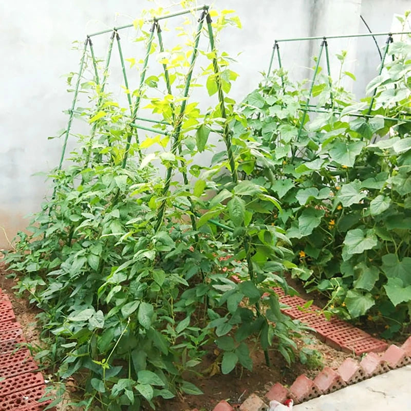 A-Frame Cucumber Trellis | Foldable Vegetable Climbing Support Garden Plant Trellis QXL