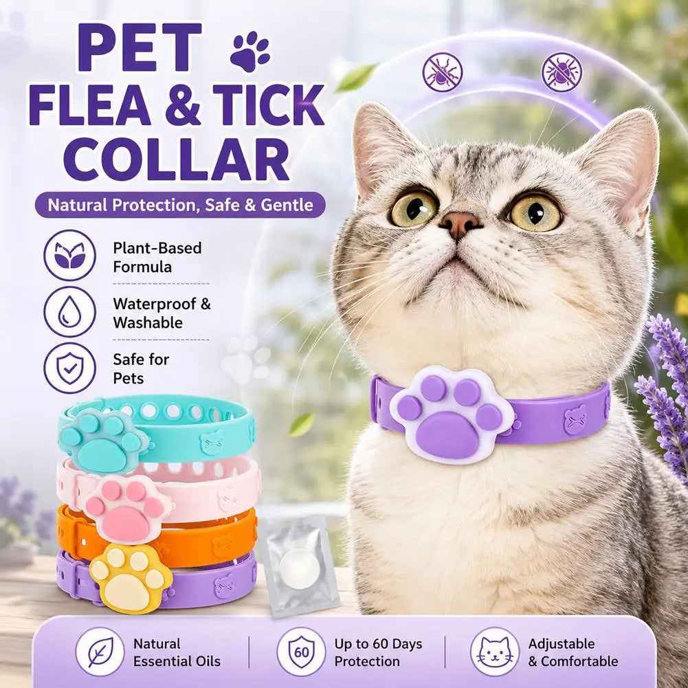 Adjustable Waterproof Pet Collar with Essential Oil Pad | Cat & Dog Pet Collar QXL