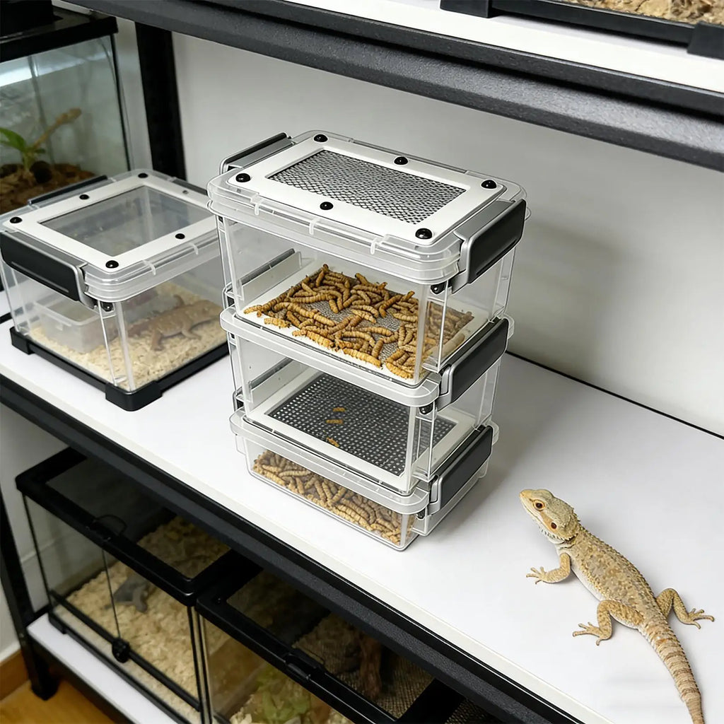 3-Layer Mealworm Breeding Kit | Transparent Feeder Breeder Box Insect Breeding Kit QXL