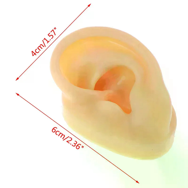 Silicone Ear Model – Piercing Practice & Ear Stud Display Tool Piercing Practice Tool QXL
