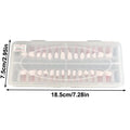 28-Pc Dental Root Canal Practice Teeth Model | Full Arch Set Dental Training Model QXL Onesize