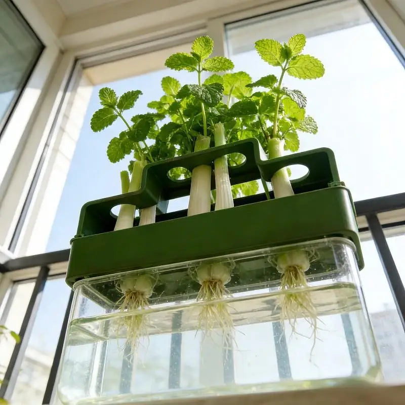 Hydroponic Planter for Green Onions & Fresh Herbs | Indoor Hydroponic Planter Pot QXL