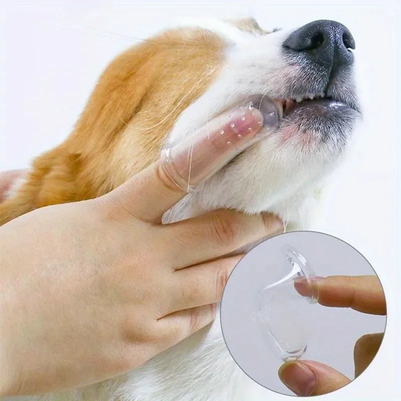 3-Pack Silicone Finger Toothbrush for Dogs & Cats | Pet Dental Pet Finger Toothbrush QXL