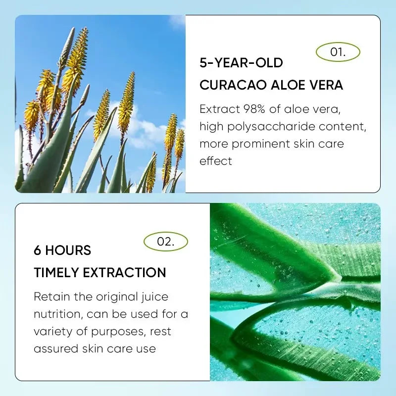 Hoygi Aloe Lip Balm – Deep Hydration & Nourishing Lip Care Aloe Lip Balm QXL