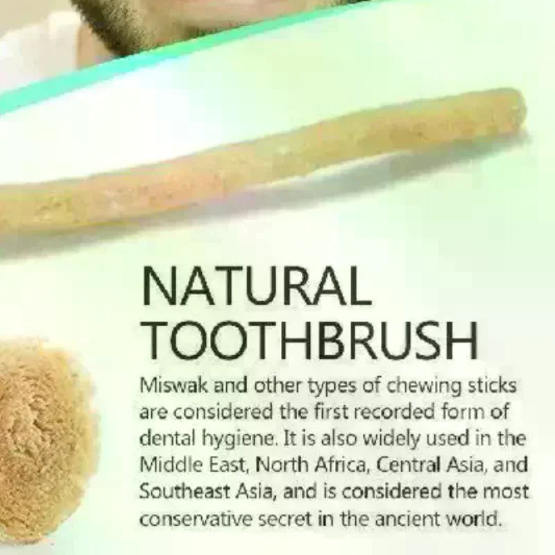 Natural Miswak Toothbrush Stick | Eco Teeth Whitening Travel Natural Toothbrush Stick QXL