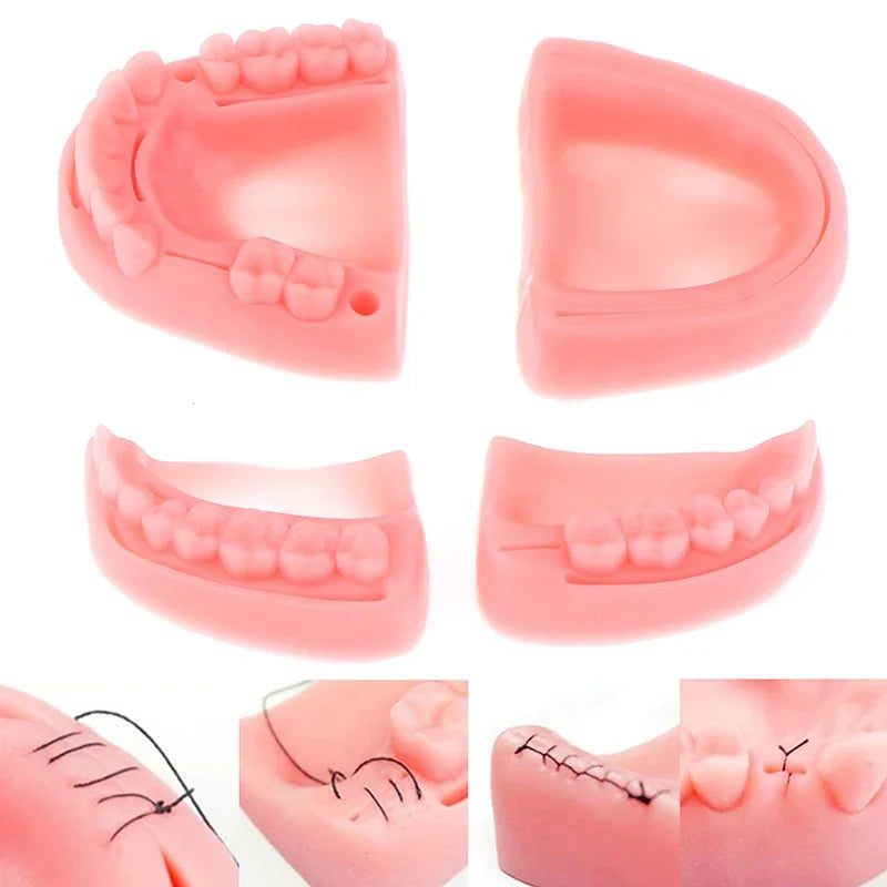 4-Piece Dental Oral Suture Silicone Training Model Set Dental Training Model QXL