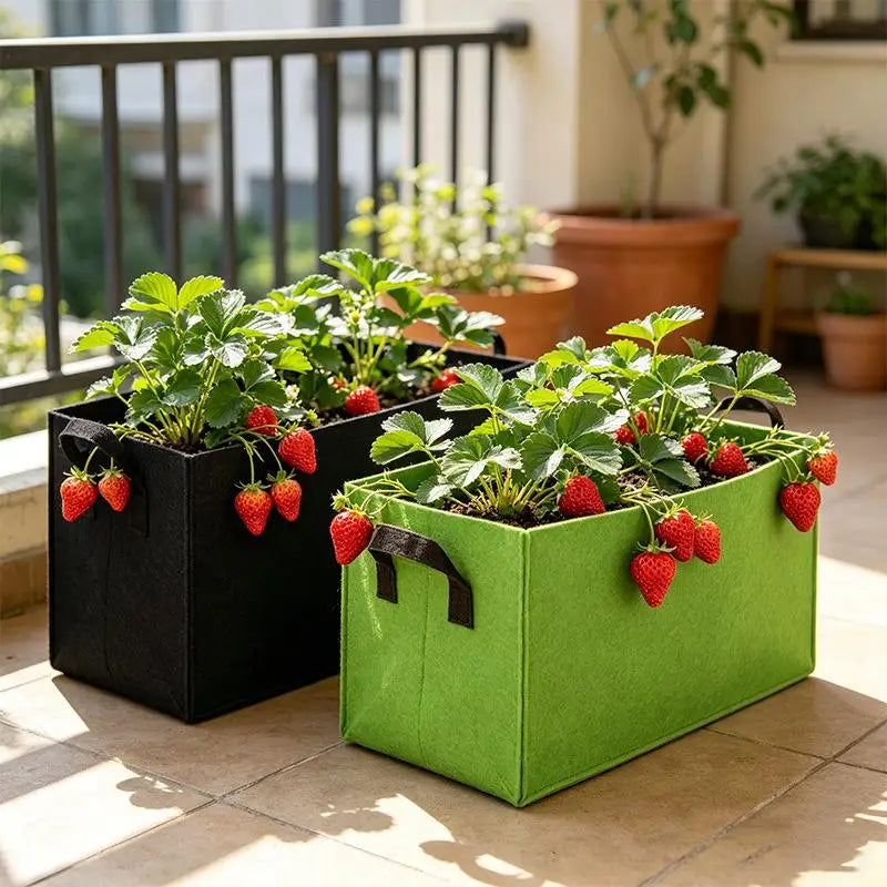 Non-Woven Plant Grow Bag with Handles | 3 Sizes for Garden Fabric Plant Grow Bag QXL