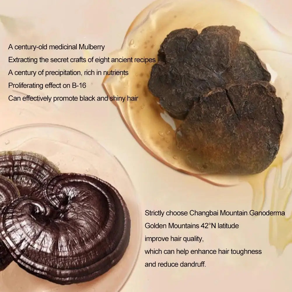 Black Reishi Polygonum Shampoo Bar | Natural Solid Hair Soap Solid Shampoo Bar QXL