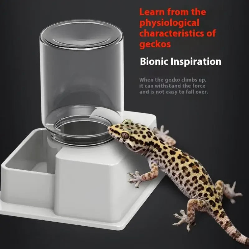 Reptile Auto Water Dispenser | Tortoise, Turtle & Lizard Reptile Water Dispenser QXL