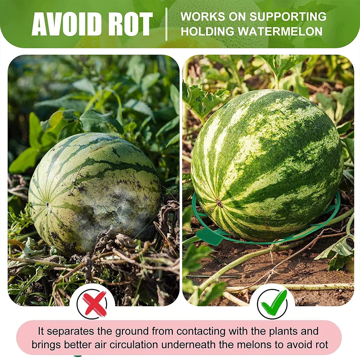2-Pack Fruit Support Trays for Watermelon, Melon & Pumpkin Garden Fruit Support Tray QXL