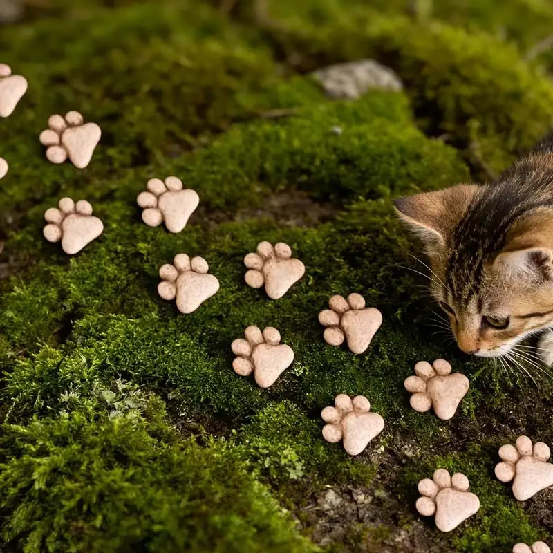 Cat Paw Stepping Stones | Resin Garden Decor 2 or 12 Pack Garden Stepping Stones QXL