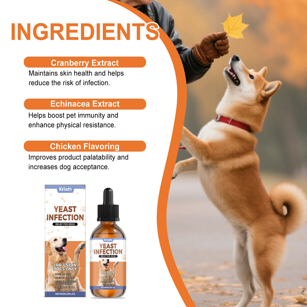 Dog Herbal Drops – Skin, Coat & Immune Support 60ml Dog Wellness Supplement QXL