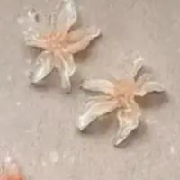 30-Pack 3D Lily Flower Nail Art Charms | Resin DIY Décor Nail Art Charms QXL