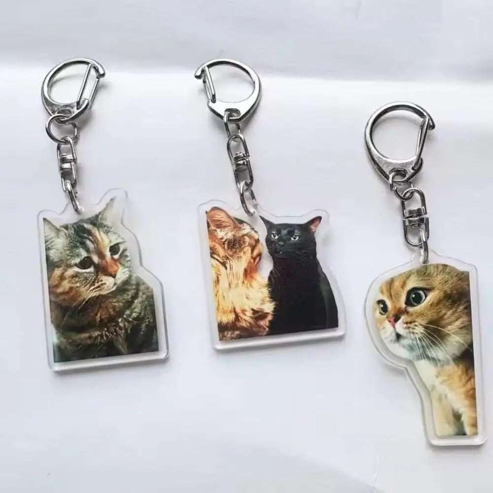 Funny Cat Meme Acrylic Keychain | Double-Sided HD Print Novelty Keychain Charm QXL
