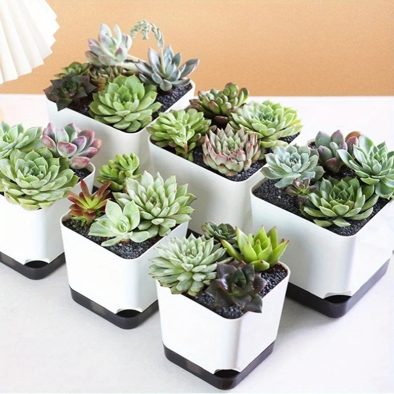 5-Pack Self-Watering Planters with Drainage & Reservoir Self-Watering Planter QXL