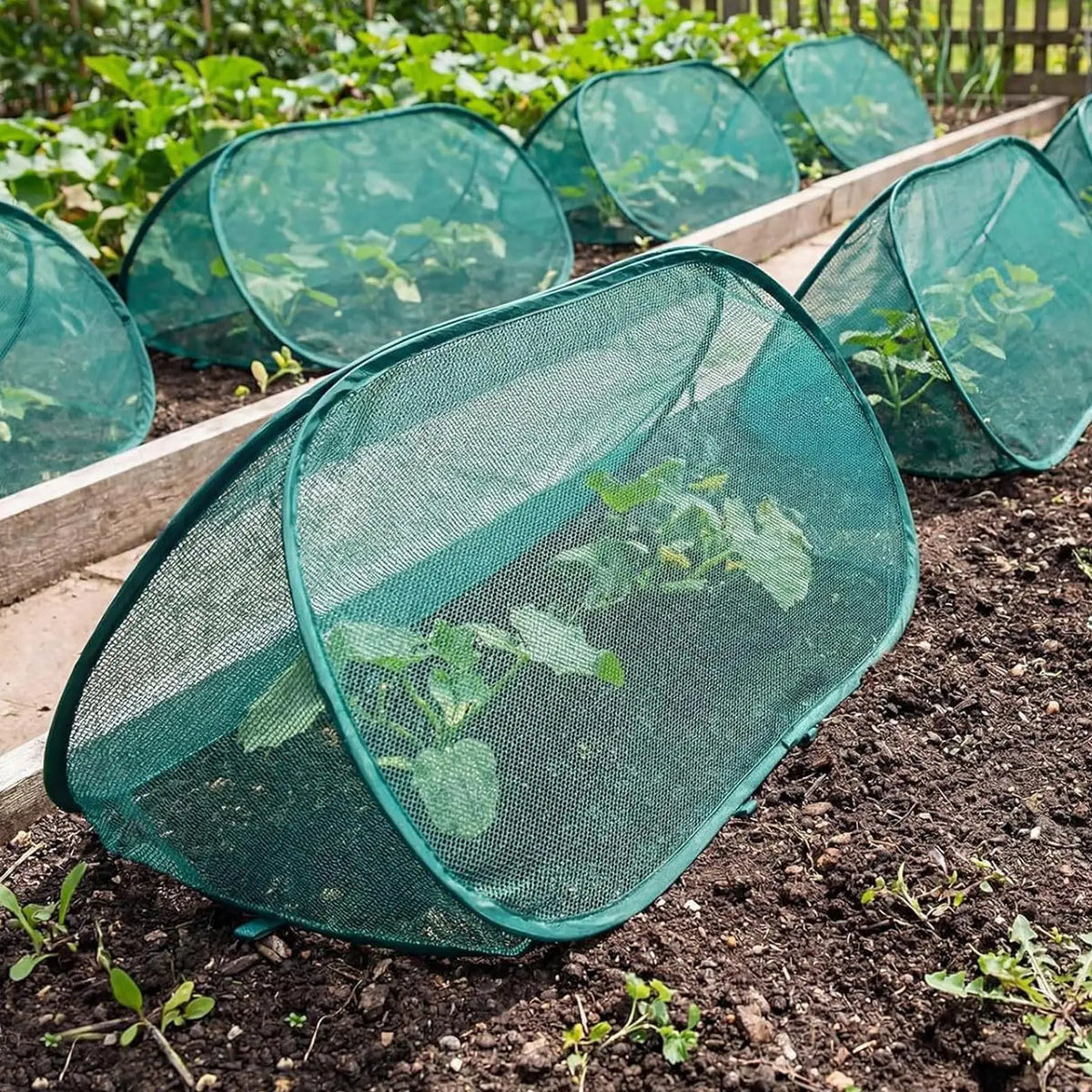 4-Pack Pop-Up Mesh Plant Covers | Foldable Garden Protectors Garden Plant Cover QXL