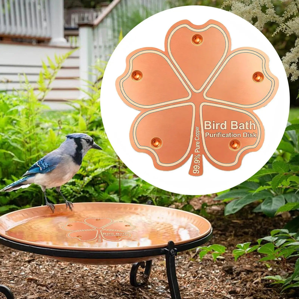 Copper Bird Bath Purification Disk | Natural Water Cleaner Bird Bath Accessory QXL