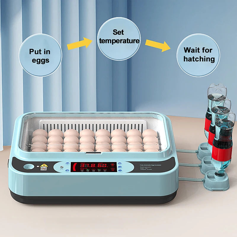 6-Egg Automatic Incubator – Chicken, Duck & Quail Egg Incubator QXL