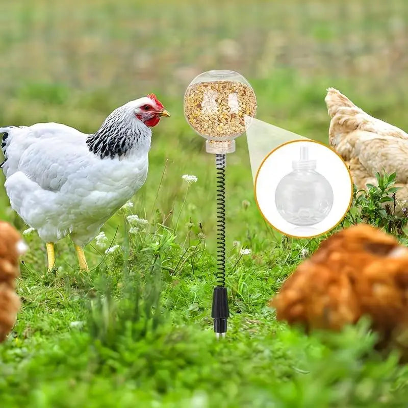 2-Pack Spring-Controlled Automatic Poultry Feeders – Reduce Waste Poultry Feeder QXL