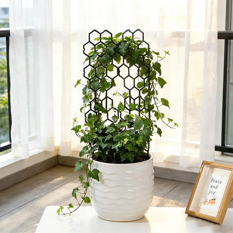 Honeycomb Plant Trellis | Modular Plastic Support for Vines Plant Trellis Support QXL
