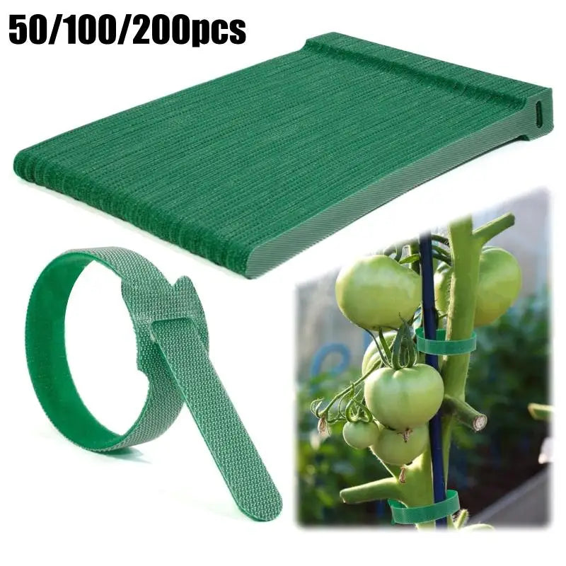Adjustable Nylon Plant Ties 50/100/200pc | Reusable Garden Garden Plant Ties QXL