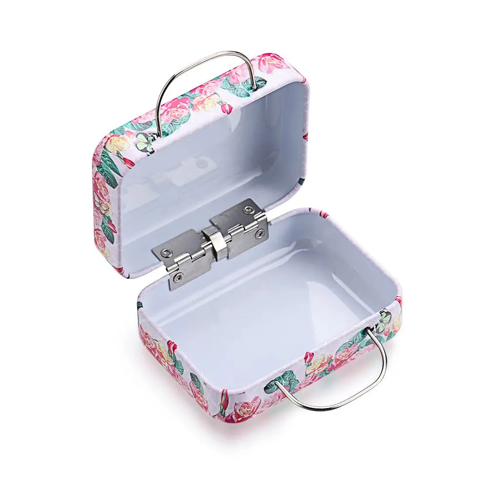 Iron False Eyelash Storage Box | Mink Lash Case & Tray Eyelash Storage Case QXL
