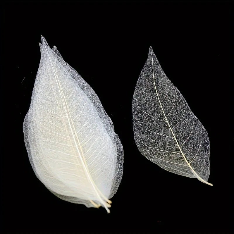 DIY Skeletal Magnolia Leaf Craft Set | Wooden Leaf Veins Black DIY Craft Kit QXL