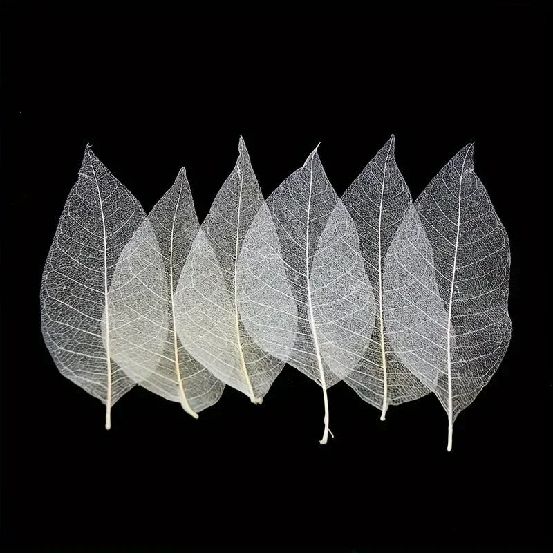 DIY Skeletal Magnolia Leaf Craft Set | Wooden Leaf Veins Black DIY Craft Kit QXL