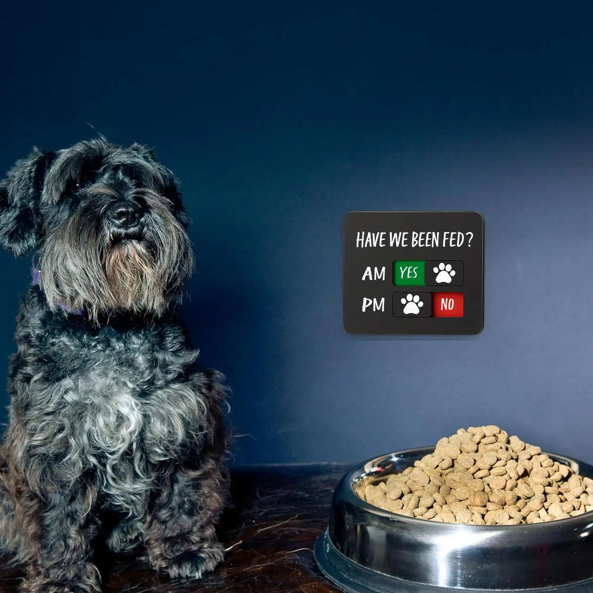 Magnetic Acrylic Dog & Cat Fed Sign | 2-Meal Feeding Tracker Pet Feeding Tracker QXL