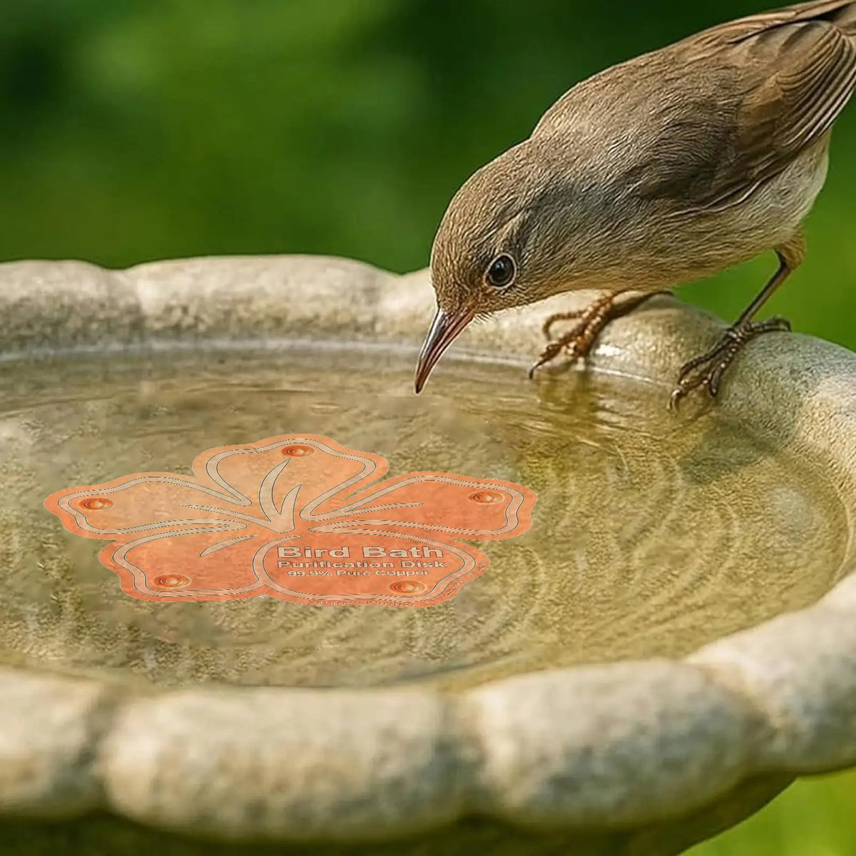 Copper Bird Bath Purification Disk | Natural Water Cleaner Bird Bath Accessory QXL