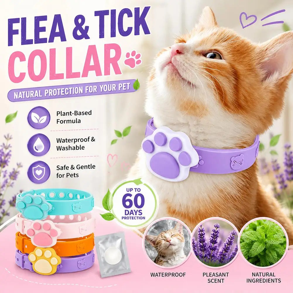 Adjustable Waterproof Pet Collar with Essential Oil Pad | Cat & Dog Pet Collar QXL
