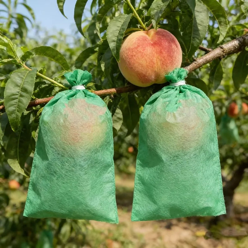 Non-Woven Fruit Protection Bags | Grape, Tomato & Garden Fruit Protection Bags QXL