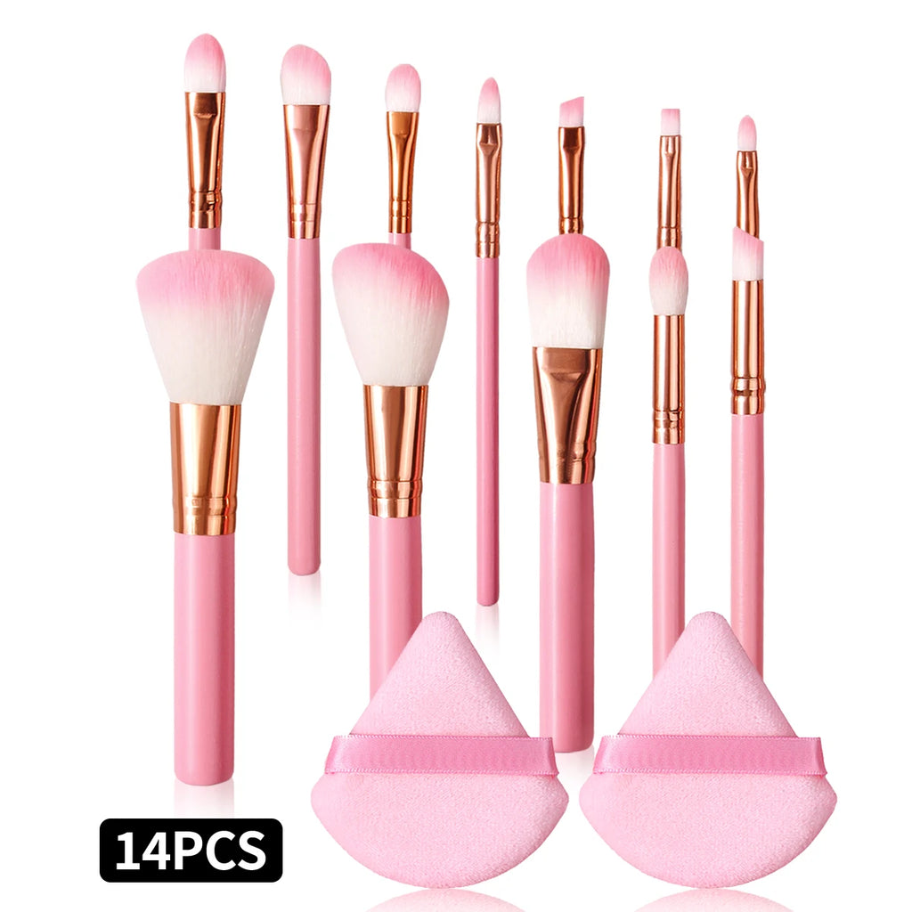 14-Pc Pink Makeup Brush Set | Sponge, Puff & Full Kit Makeup Brush Set QXL