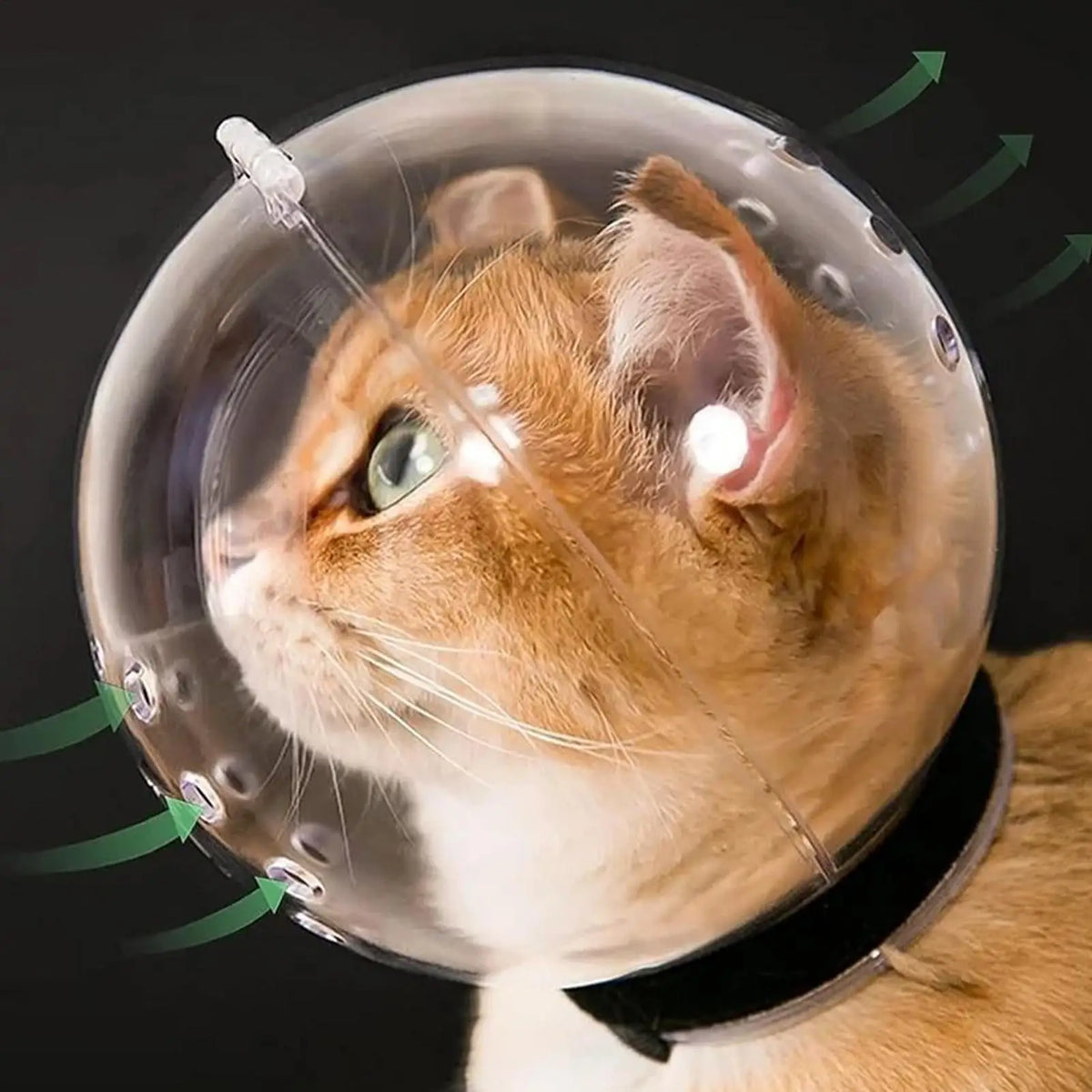 Transparent Cat Bubble Muzzle Hood | Anti-Bite Grooming Cap Cat Grooming Muzzle QXL