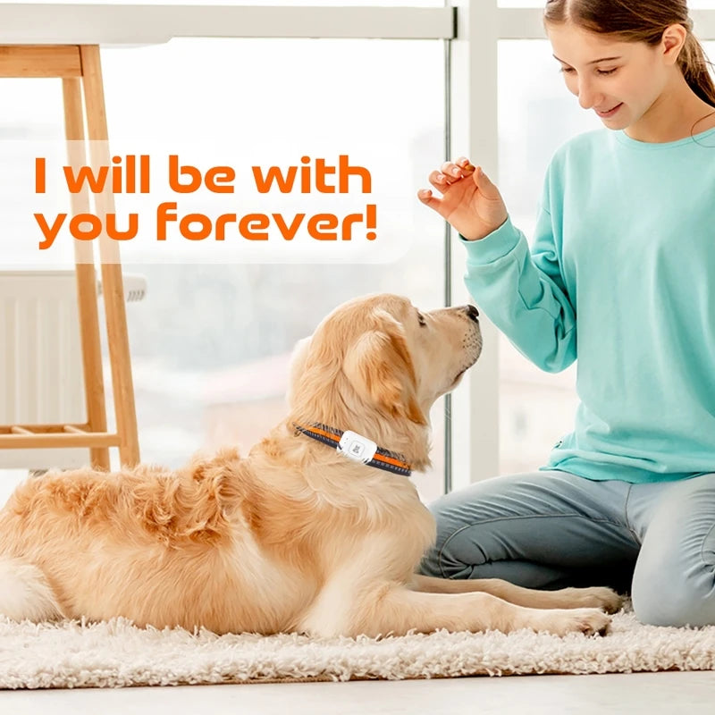 4G GPS Pet Tracker Collar | IP67 Waterproof LED Flash GPS Pet Tracker QXL