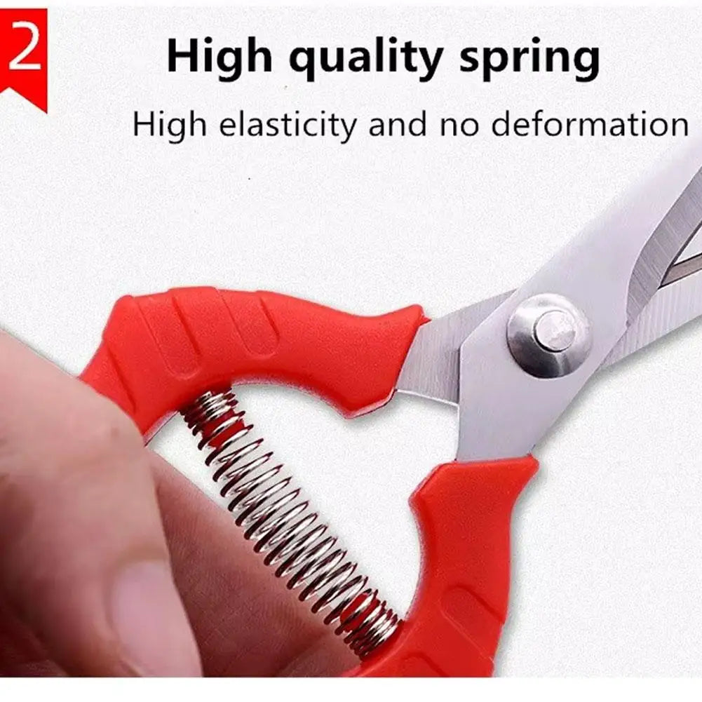 Stainless Steel Pruning Shears | 4 Sizes Garden Scissors Pruning Shears QXL