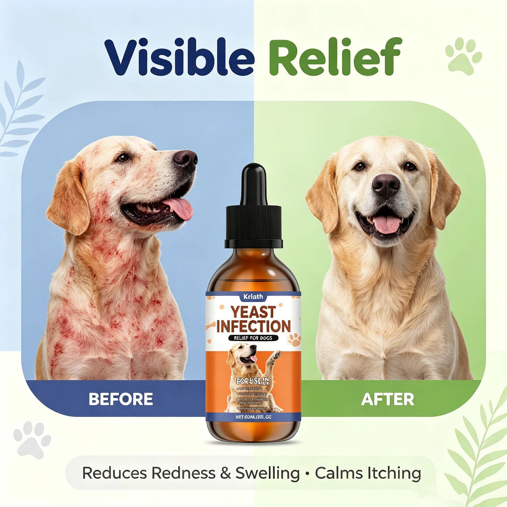 Dog Herbal Drops – Skin, Coat & Immune Support 60ml Dog Wellness Supplement QXL