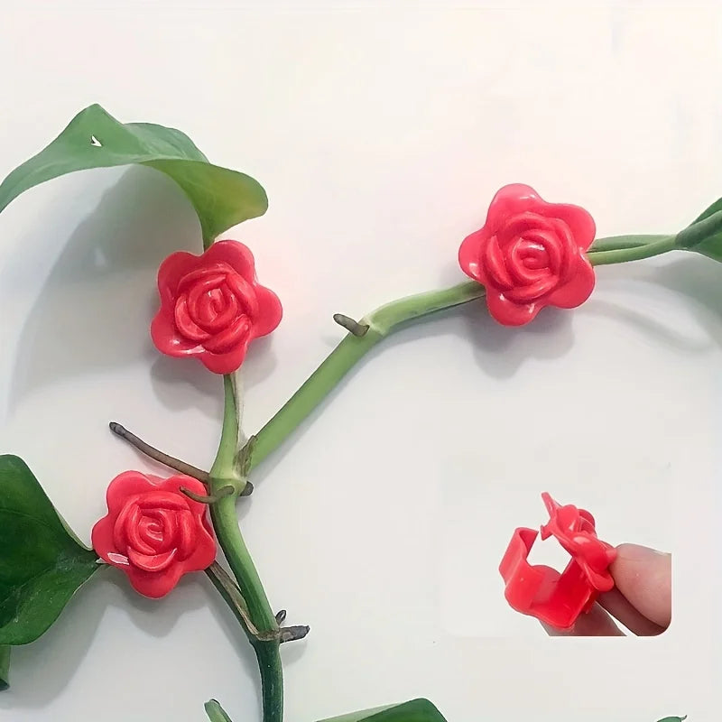 Self-Adhesive Plant Climbing Wall Clips & Fixing Hooks Plant Climbing Clips QXL