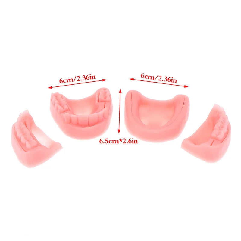 4-Piece Dental Oral Suture Silicone Training Model Set Dental Training Model QXL
