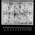 600-Pack Short Square French Nail Tips | Half Cover Press-On Press-On Nail Tips QXL Sharp shape-Clear