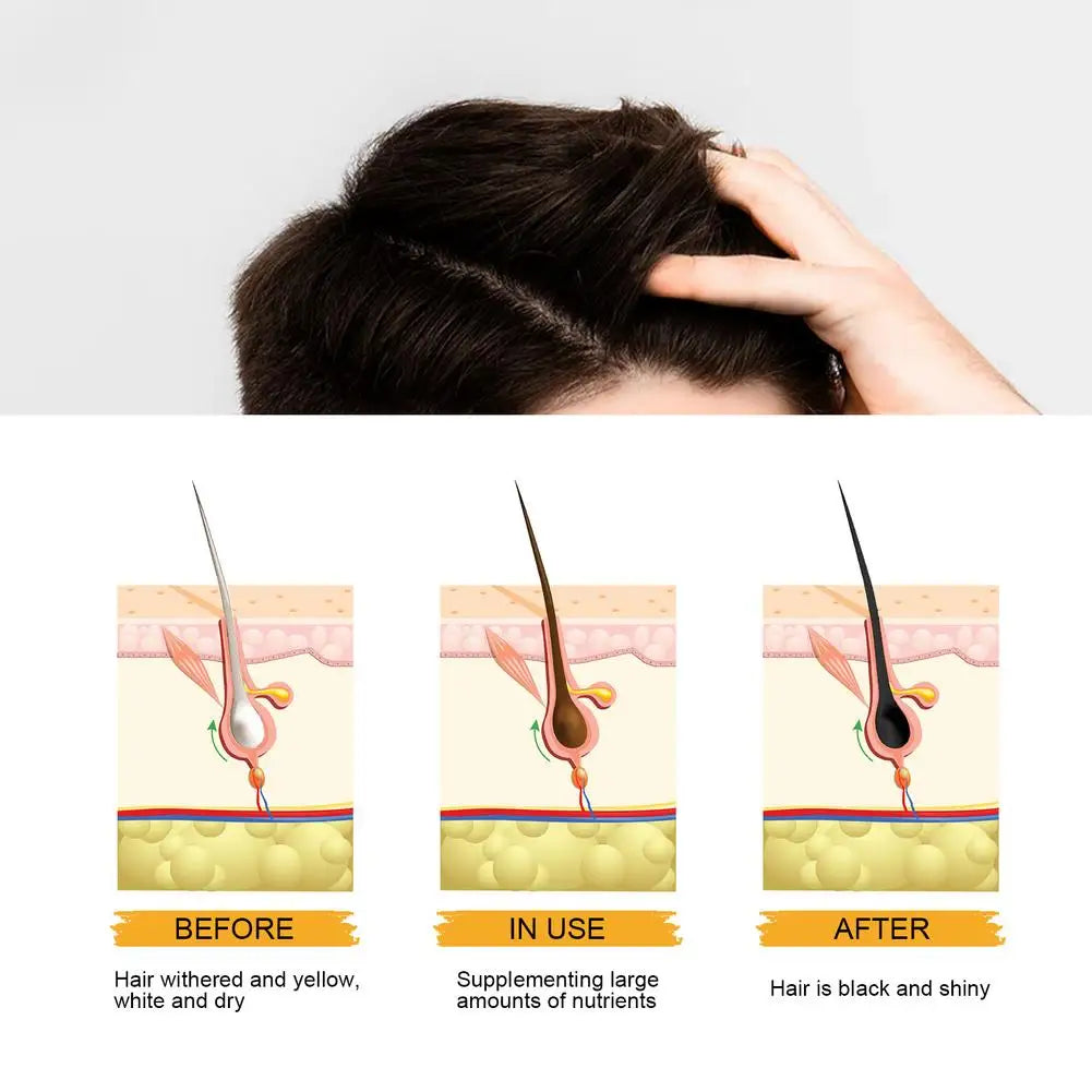 Hair Darkening Shampoo Bar | Gray Coverage & Thickening Hair Darkening Shampoo Bar QXL