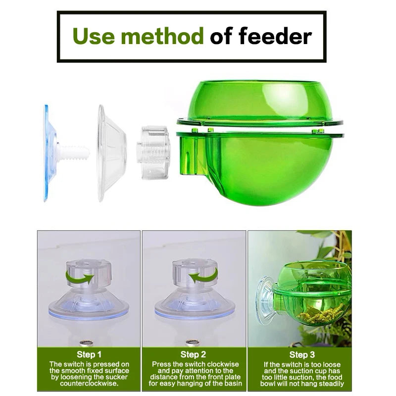 Anti-Escape Suction Cup Reptile Feeder Bowl | Lizard Gecko Reptile Feeder Bowl QXL