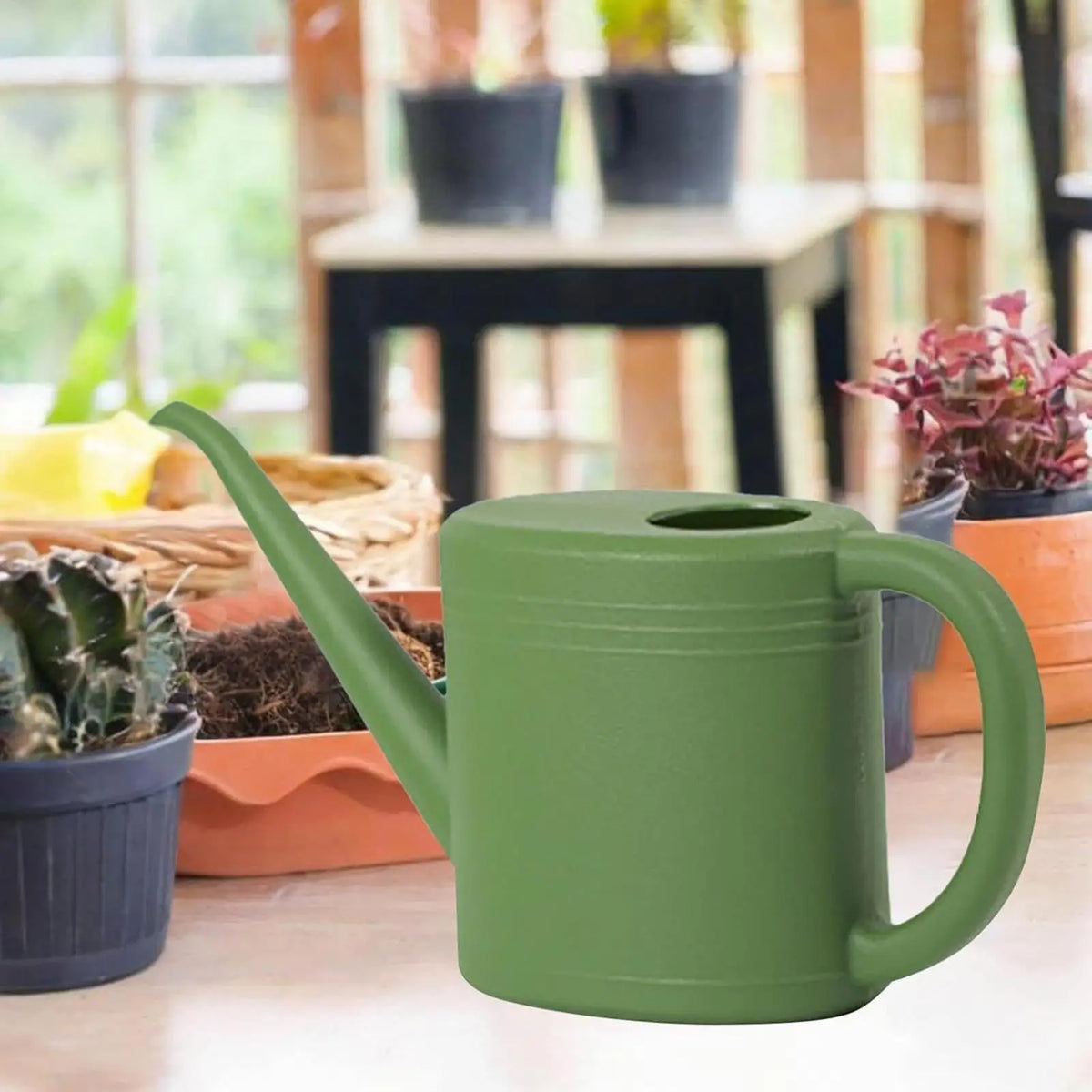 1L Long Spout Indoor Plant Watering Can | Portable & Lightweight Indoor Watering Can QXL