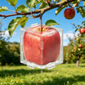 Transparent Fruit Shaping Molds – Cube & Triangle for Tomatoes Fruit Growing Mold QXL 1Pcs cube