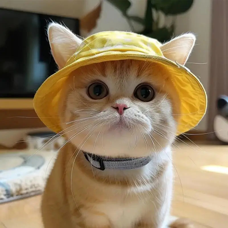 UV Protection Cat Fisherman Sun Hat | Adjustable Kitten Hat Cat Sun Hat QXL