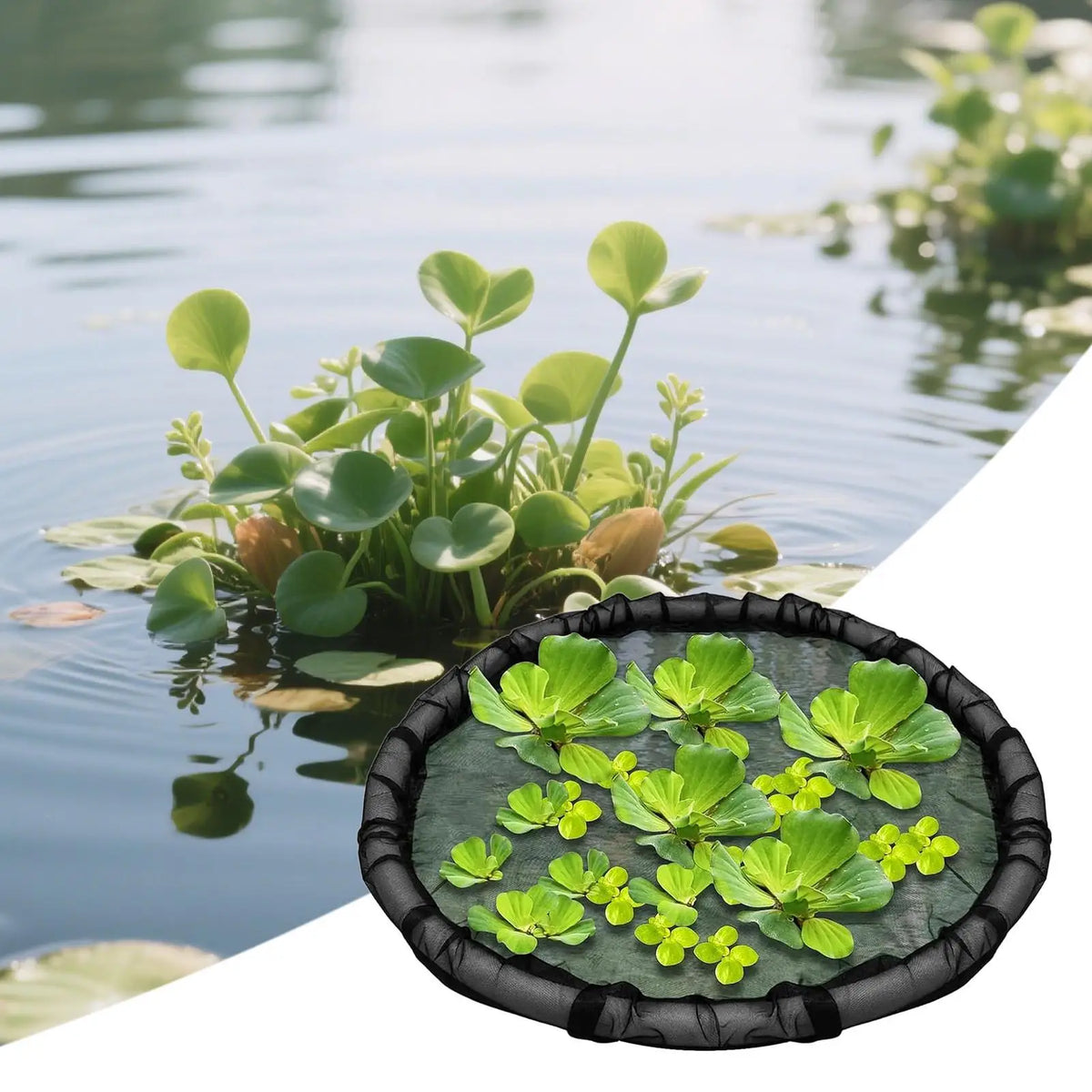 17.7" Floating Island Pond Planter | Fine Mesh Plant Protector Floating Pond Planter QXL