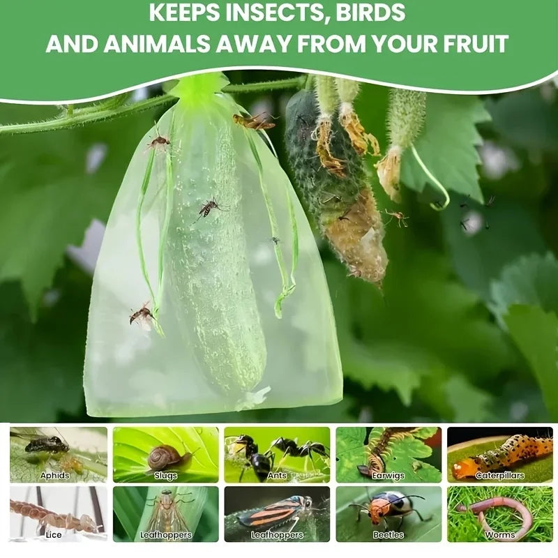 100-Pack Organza Fruit Protection Bags | Mesh Zipper Garden Garden Protection Bags QXL